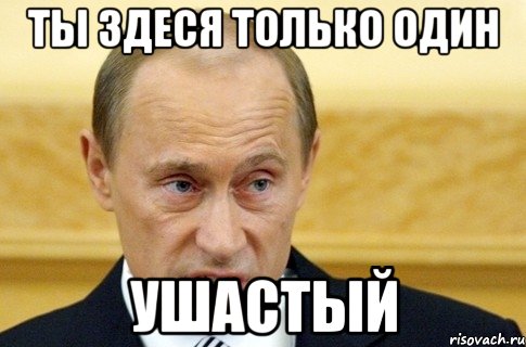 ты здеся только один ушастый, Мем путин