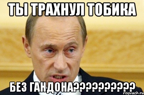 ты трахнул тобика без гандона???, Мем путин