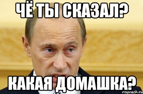 Чё ты сказал? какая домашка?, Мем путин