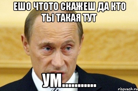 Ешо чтото скажеш да кто ты такая тут ум..........., Мем путин