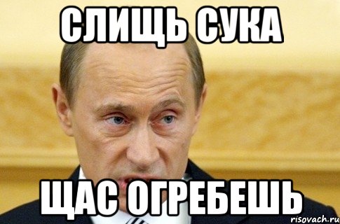 слищь сука щас огребешь, Мем путин