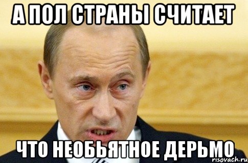 А пол страны считает Что необьятное дерьмо, Мем путин