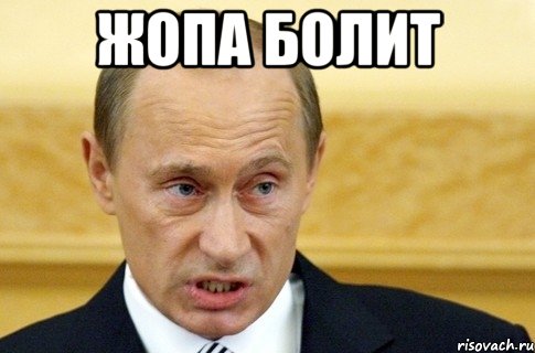 ЖОПА БОЛИТ , Мем путин