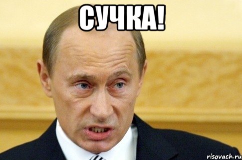 Сучка! , Мем путин