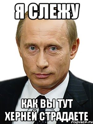Я СЛЕЖУ КАК ВЫ ТУТ ХЕРНЕЙ СТРАДАЕТЕ, Мем Путин