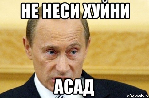 Не неси хуйни Асад, Мем путин