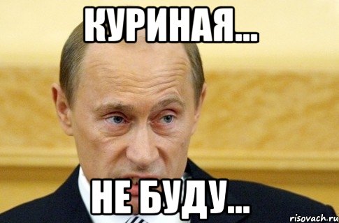 Куриная... не буду..., Мем путин