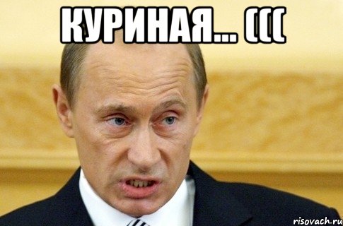 Куриная... ((( , Мем путин