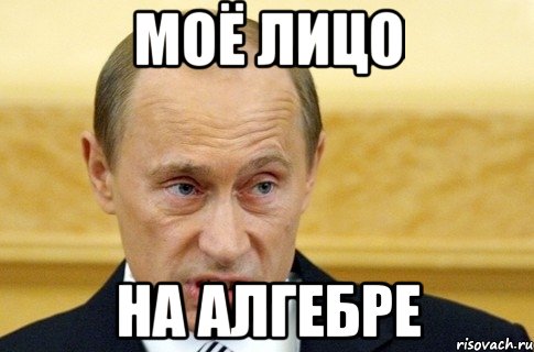 моё лицо на алгебре, Мем путин