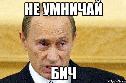 не умничай бич, Мем путин