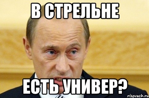 в стрельне есть Универ?, Мем путин