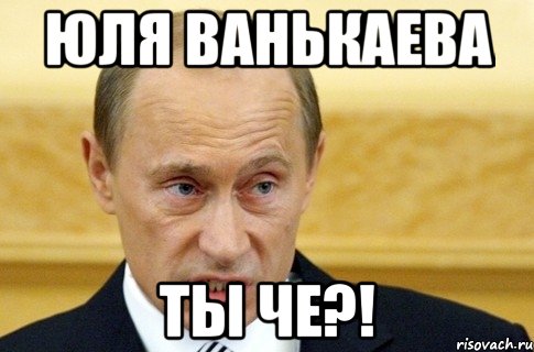 ЮЛЯ ВАНЬКАЕВА ТЫ ЧЕ?!, Мем путин