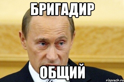 бригадир общий, Мем путин