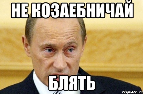 не козаебничай блять, Мем путин