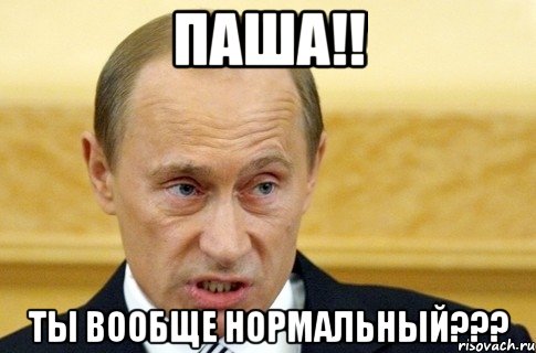 ПАША!! ты вообще нормальный???, Мем путин