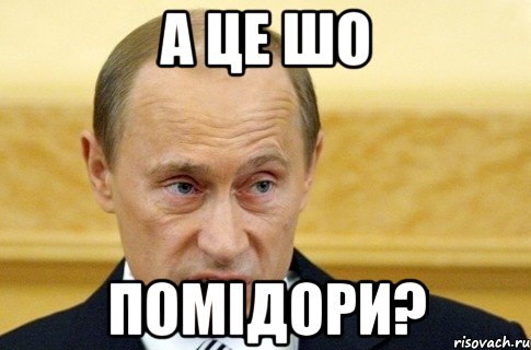 а це шо помідори?, Мем путин