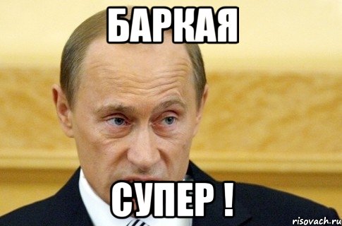 Баркая супер !, Мем путин