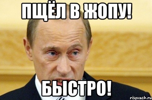 Пщёл в жопу! быстро!, Мем путин
