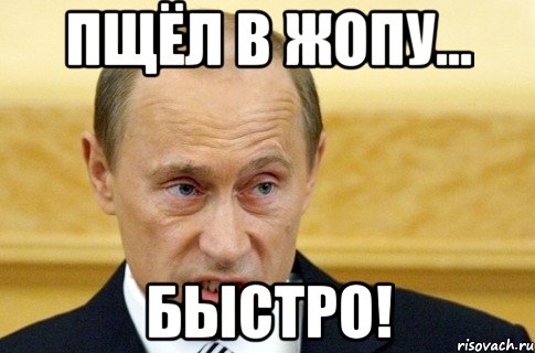 Пщёл в жопу... быстро!, Мем путин