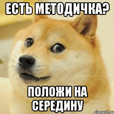 есть методичка? положи на середину, Мем doge woof