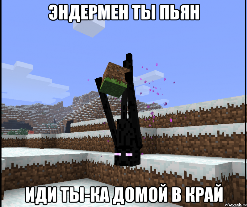эндермен ты пьян иди ты-ка домой в край
