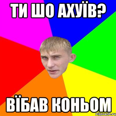 ти шо ахуїв? вїбав коньом