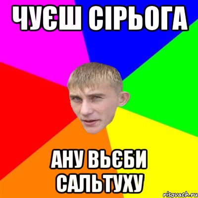 чуєш сірьога ану вьєби сальтуху