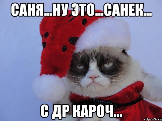 Саня...Ну это...Санек... с ДР кароч...