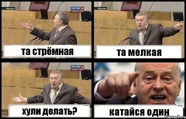 та стрёмная та мелкая хули делать? катайся один, Комикс с Жириновским