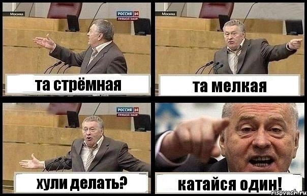 та стрёмная та мелкая хули делать? катайся один!, Комикс с Жириновским