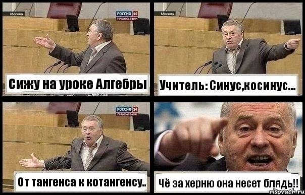 Сижу на уроке Алгебры Учитель: Синус,косинус... От тангенса к котангенсу.. Чё за херню она несет блядь!!, Комикс с Жириновским