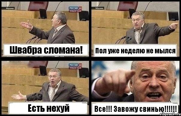 Швабра сломана! Пол уже неделю не мылся Есть нехуй Все!!! Завожу свинью!!!!!!, Комикс с Жириновским