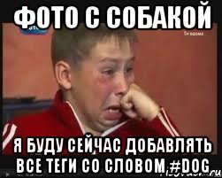 фото с собакой я буду сейчас добавлять все теги со словом #dog, Мем  Сашок Фокин