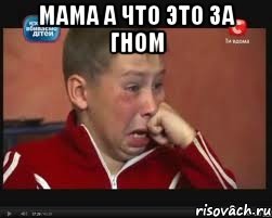 мама а что это за гном , Мем  Сашок Фокин