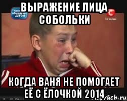 Выражение лица Собольки когда ваня не помогает её с ёлочкой 2014