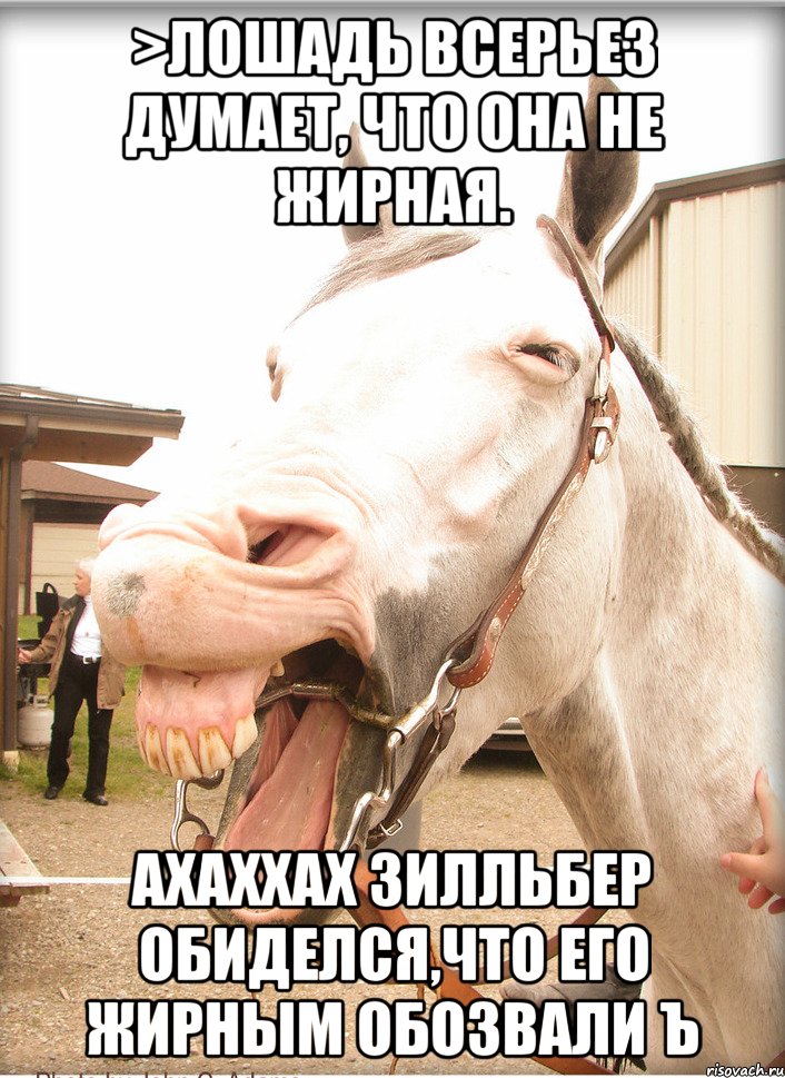 >лошадь всерьез думает, что она не жирная. ахаххах зилльбер обиделся,что его жирным обозвали ъ, Мем Савраска