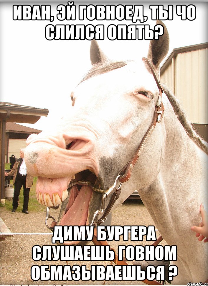 иван, эй говноед, ты чо слился опять? диму бургера слушаешь говном обмазываешься ?
