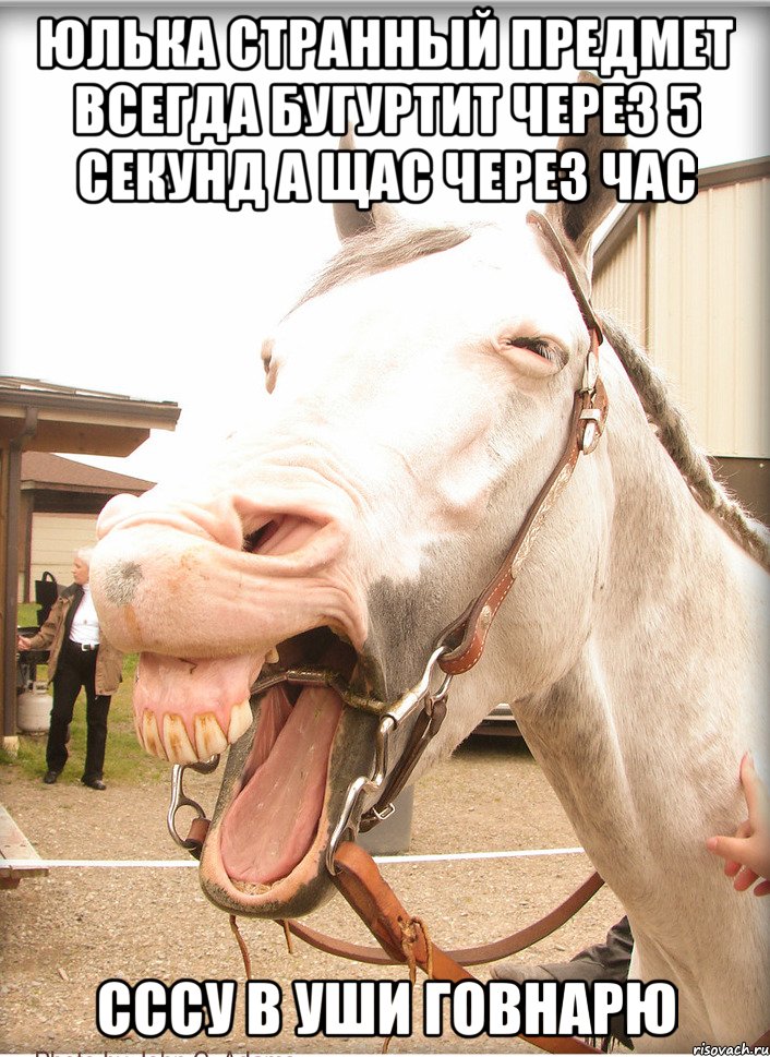 юлька странный предмет всегда бугуртит через 5 секунд а щас через час сссу в уши говнарю, Мем Савраска