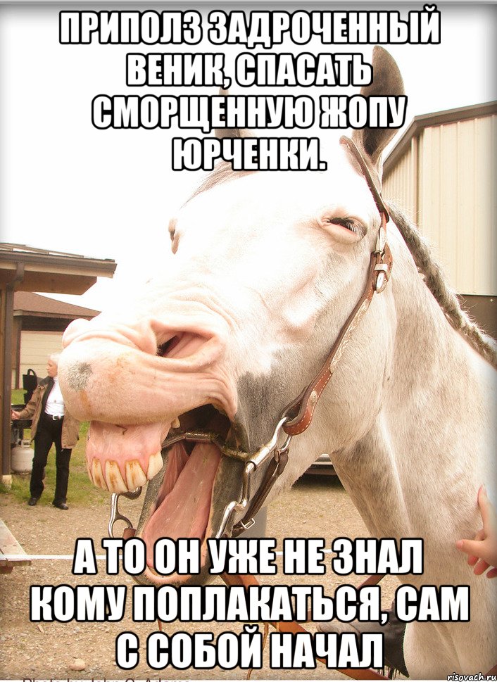 приполз задроченный веник, спасать сморщенную жопу юрченки. а то он уже не знал кому поплакаться, сам с собой начал