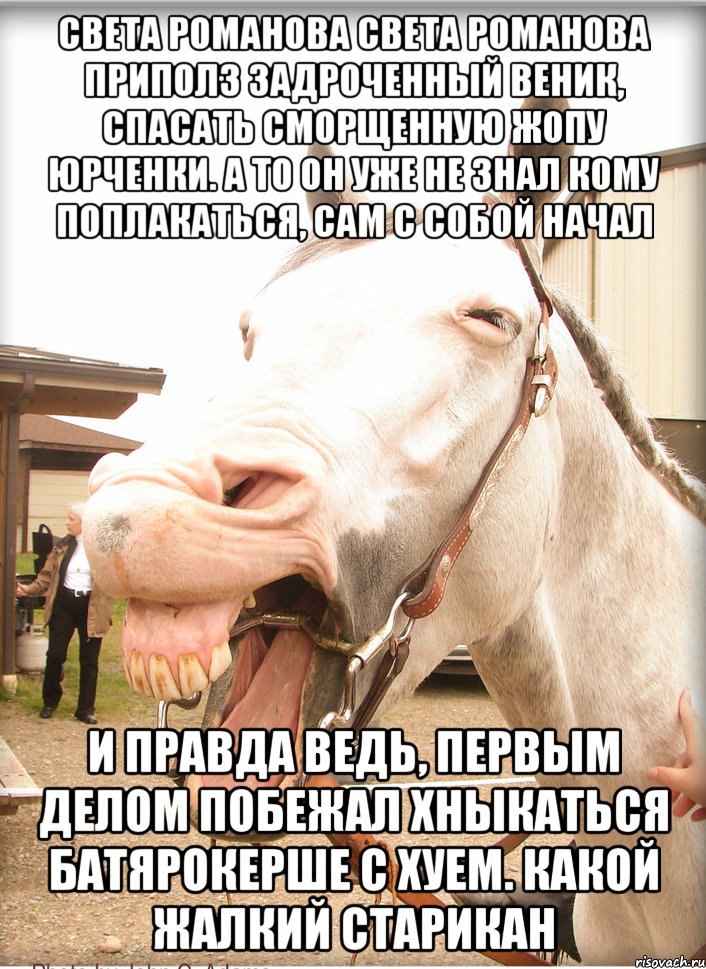 света романова света романова приполз задроченный веник, спасать сморщенную жопу юрченки. а то он уже не знал кому поплакаться, сам с собой начал и правда ведь, первым делом побежал хныкаться батярокерше с хуем. какой жалкий старикан