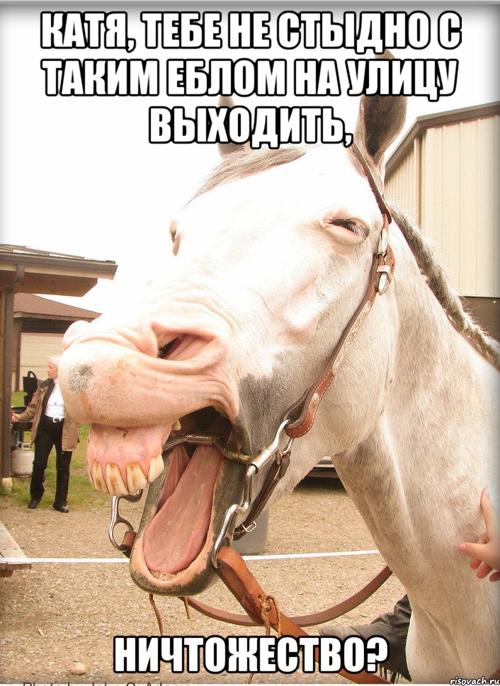 катя, тебе не стыдно с таким еблом на улицу выходить, ничтожество?