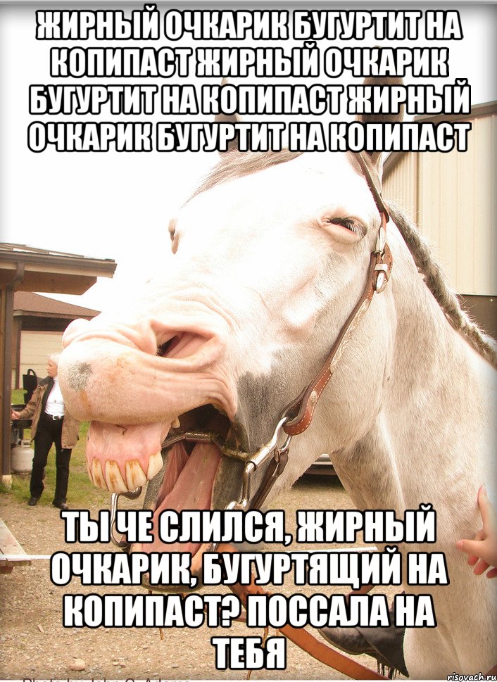 жирный очкарик бугуртит на копипаст жирный очкарик бугуртит на копипаст жирный очкарик бугуртит на копипаст ты че слился, жирный очкарик, бугуртящий на копипаст? поссала на тебя