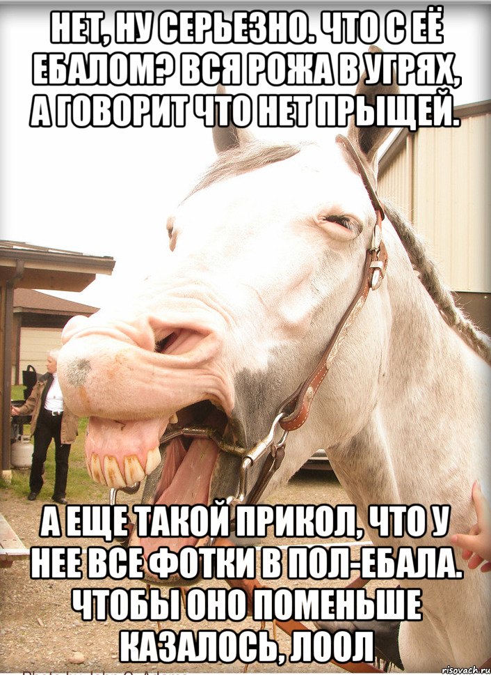 нет, ну серьезно. что с её ебалом? вся рожа в угрях, а говорит что нет прыщей. а еще такой прикол, что у нее все фотки в пол-ебала. чтобы оно поменьше казалось, лоол