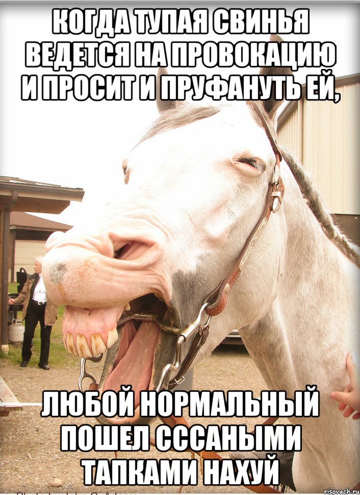 когда тупая свинья ведется на провокацию и просит и пруфануть ей, любой нормальный пошел сссаными тапками нахуй