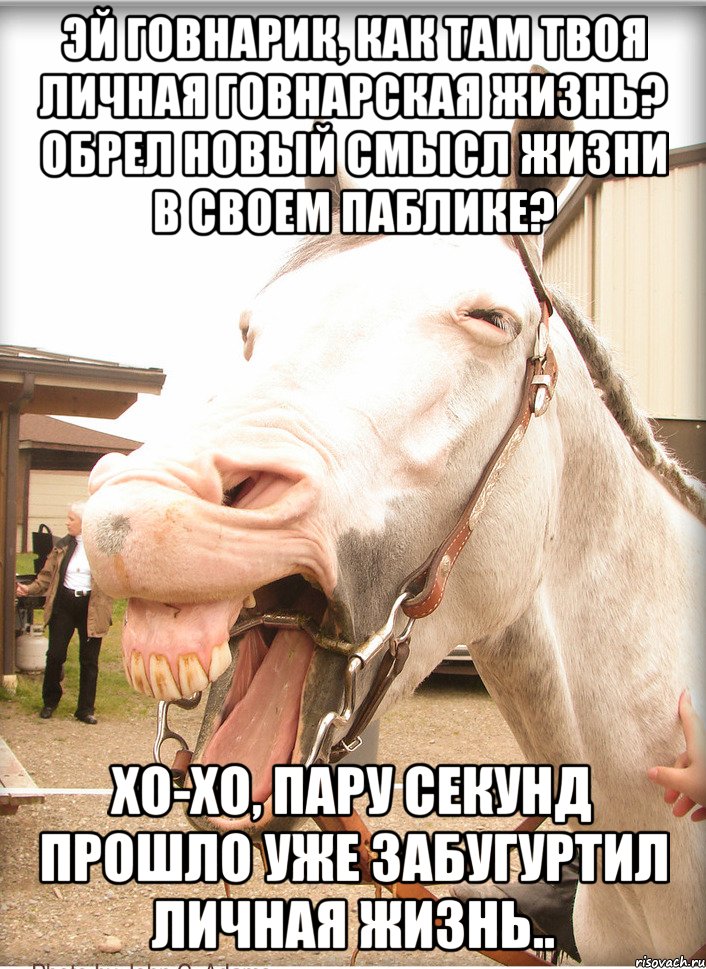 эй говнарик, как там твоя личная говнарская жизнь? обрел новый смысл жизни в своем паблике? хо-хо, пару секунд прошло уже забугуртил личная жизнь..