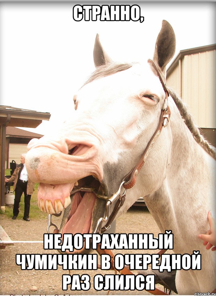 странно, недотраханный чумичкин в очередной раз слился