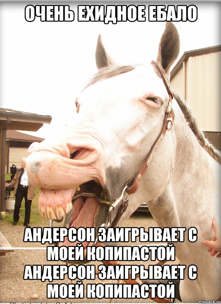 очень ехидное ебало андерсон заигрывает с моей копипастой андерсон заигрывает с моей копипастой
