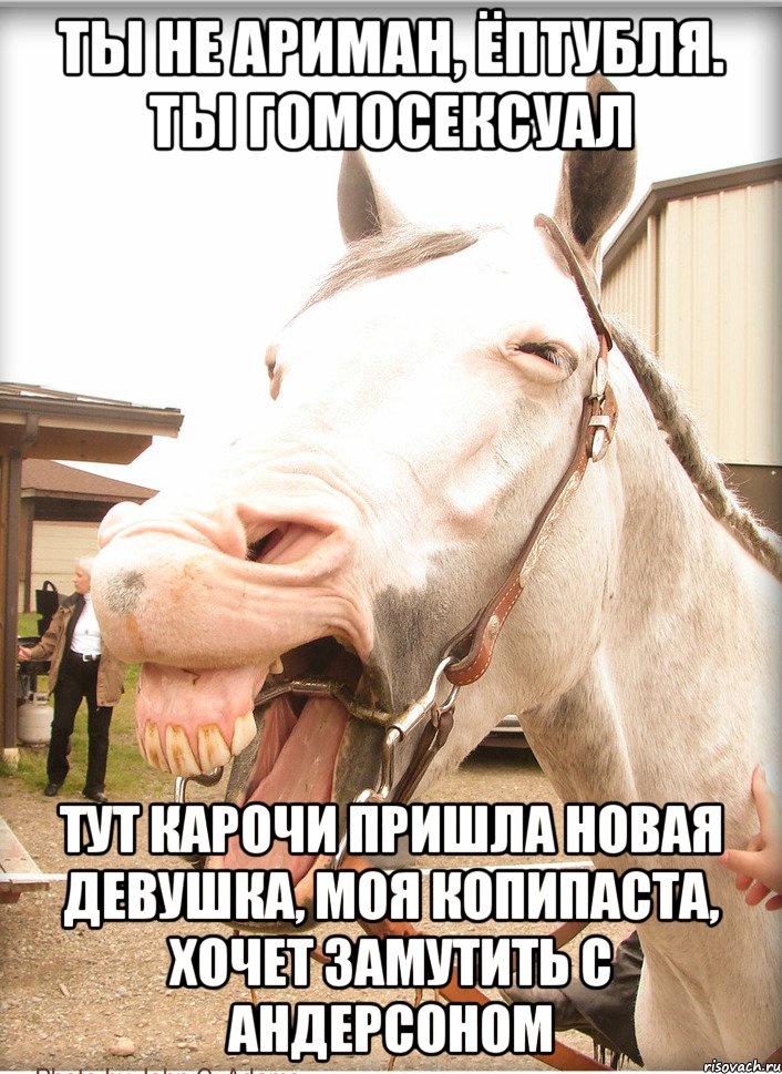 ты не ариман, ёптубля. ты гомосексуал тут карочи пришла новая девушка, моя копипаста, хочет замутить с андерсоном