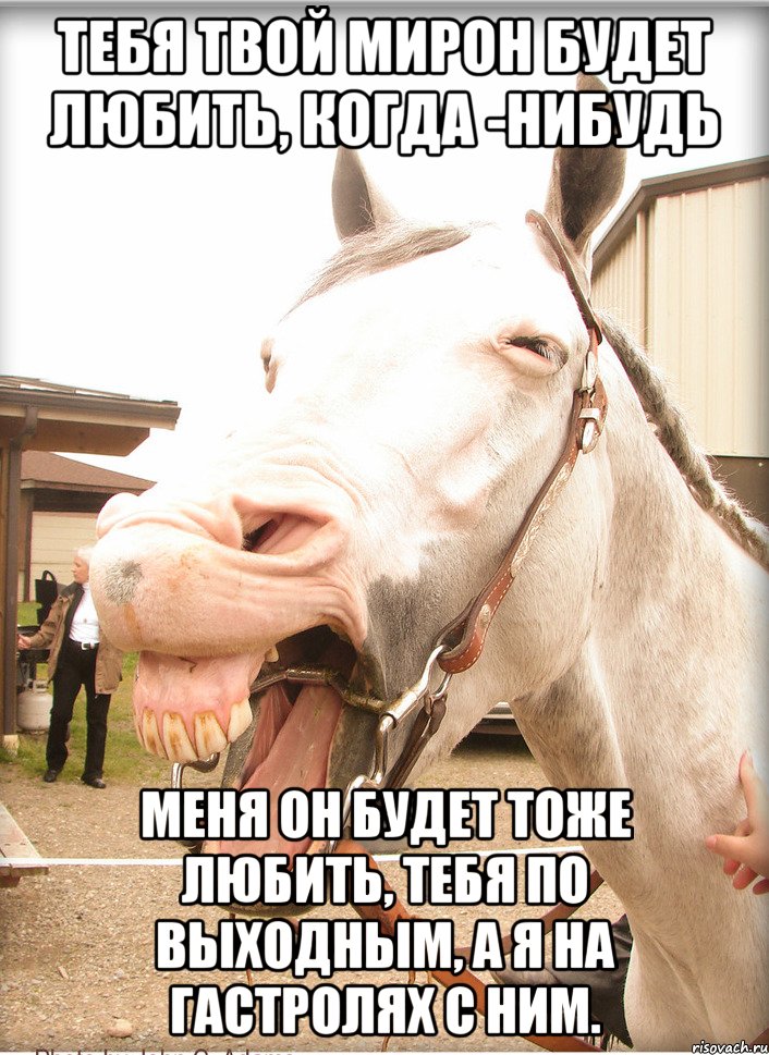 тебя твой мирон будет любить, когда -нибудь меня он будет тоже любить, тебя по выходным, а я на гастролях с ним.