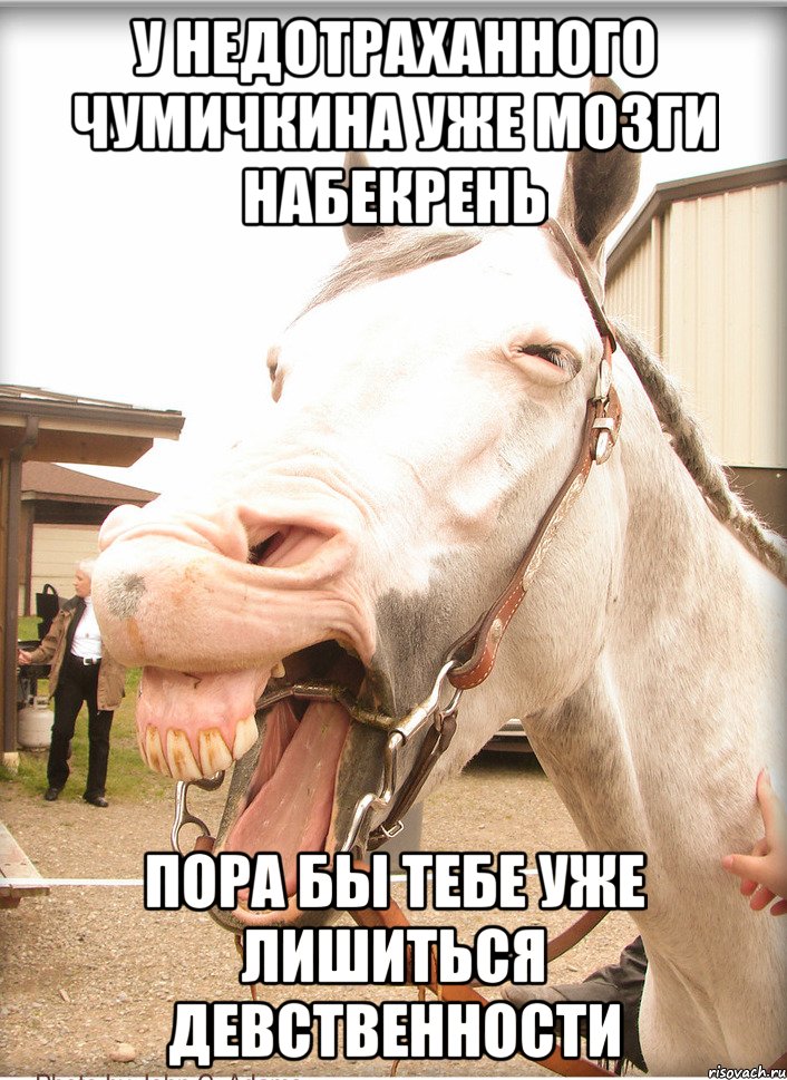 у недотраханного чумичкина уже мозги набекрень пора бы тебе уже лишиться девственности